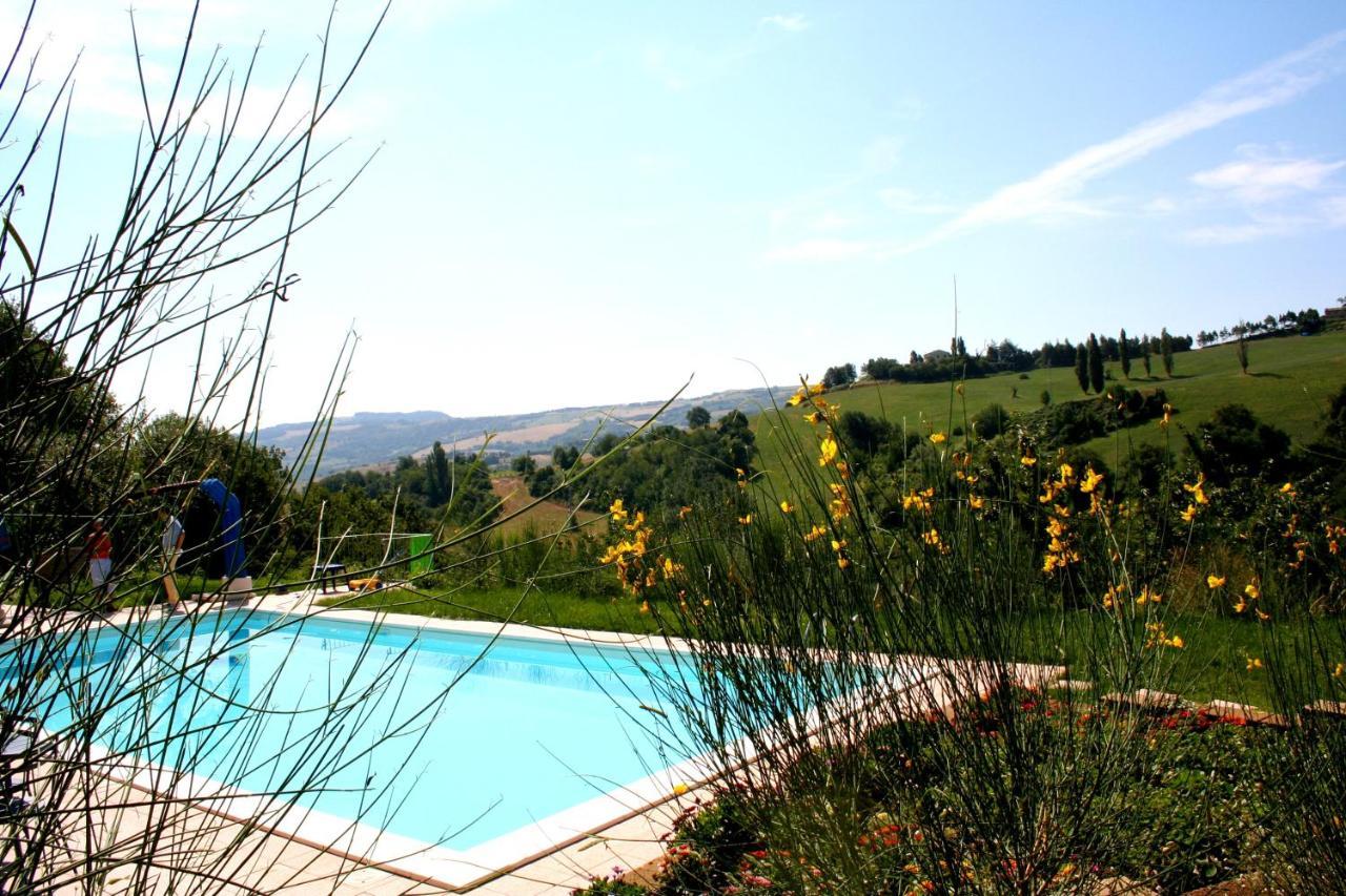 Bed And Breakfast Il Governatore Urbino Luaran gambar