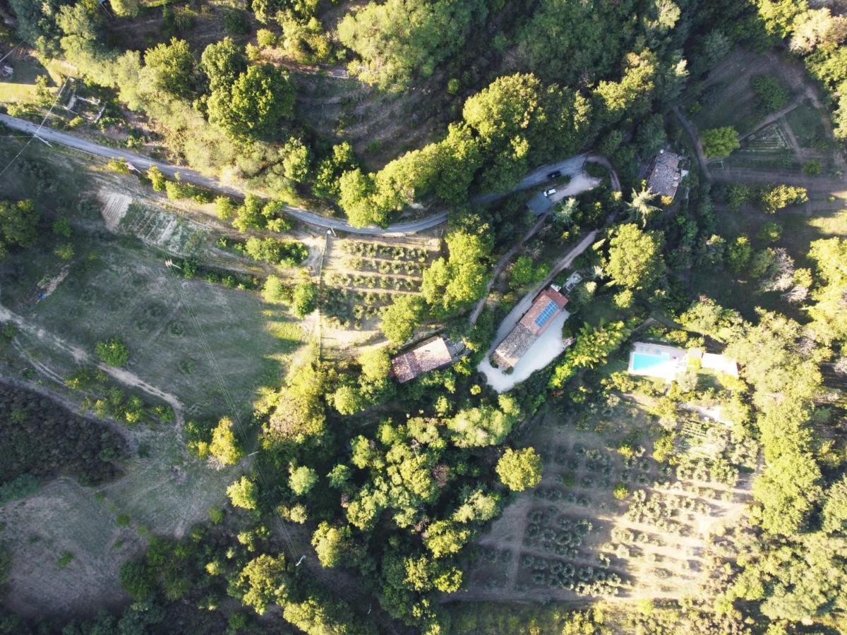Bed And Breakfast Il Governatore Urbino Luaran gambar