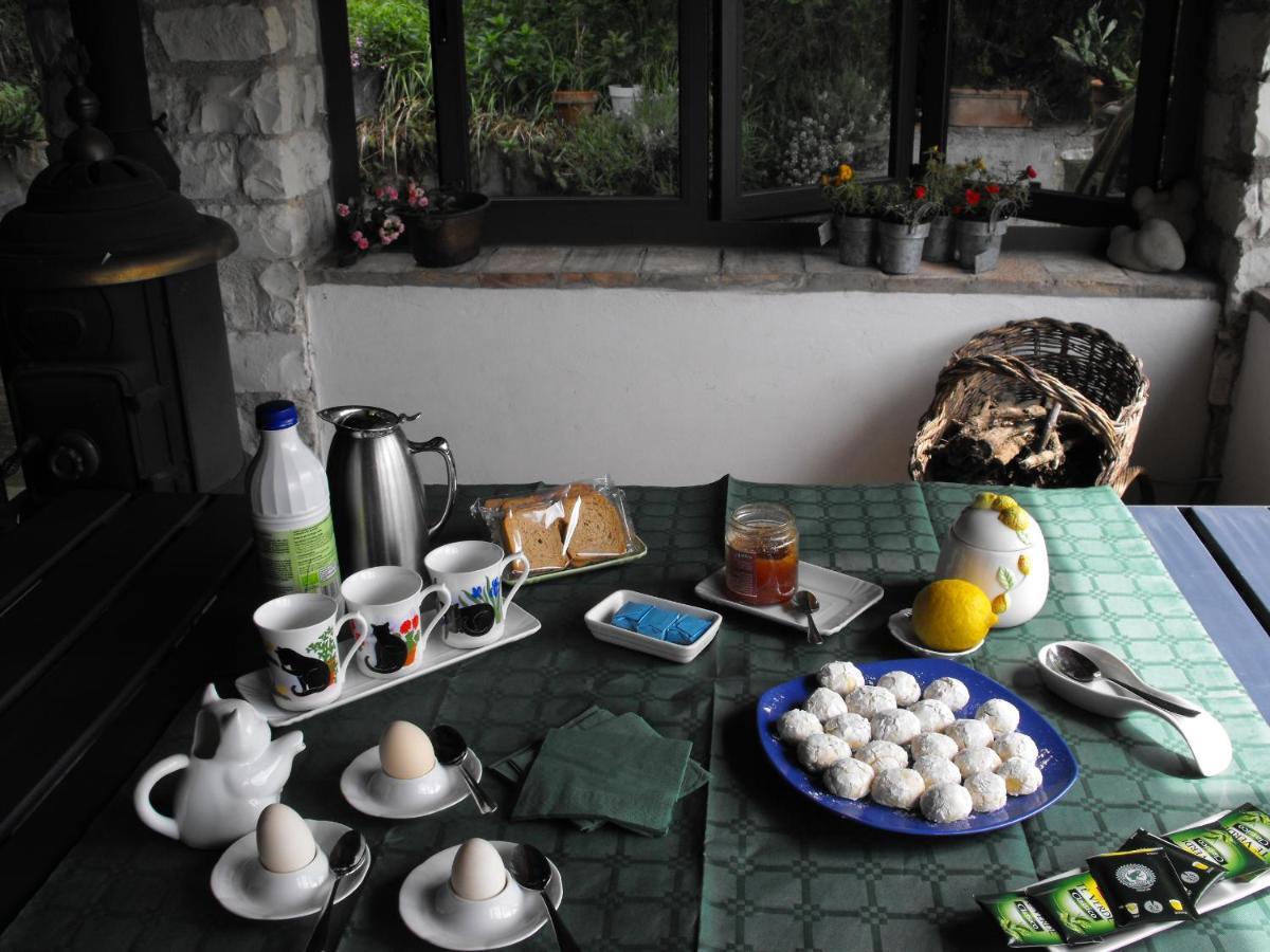 Bed And Breakfast Il Governatore Urbino Luaran gambar
