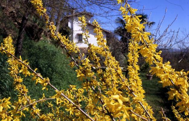 Bed And Breakfast Il Governatore Urbino Luaran gambar