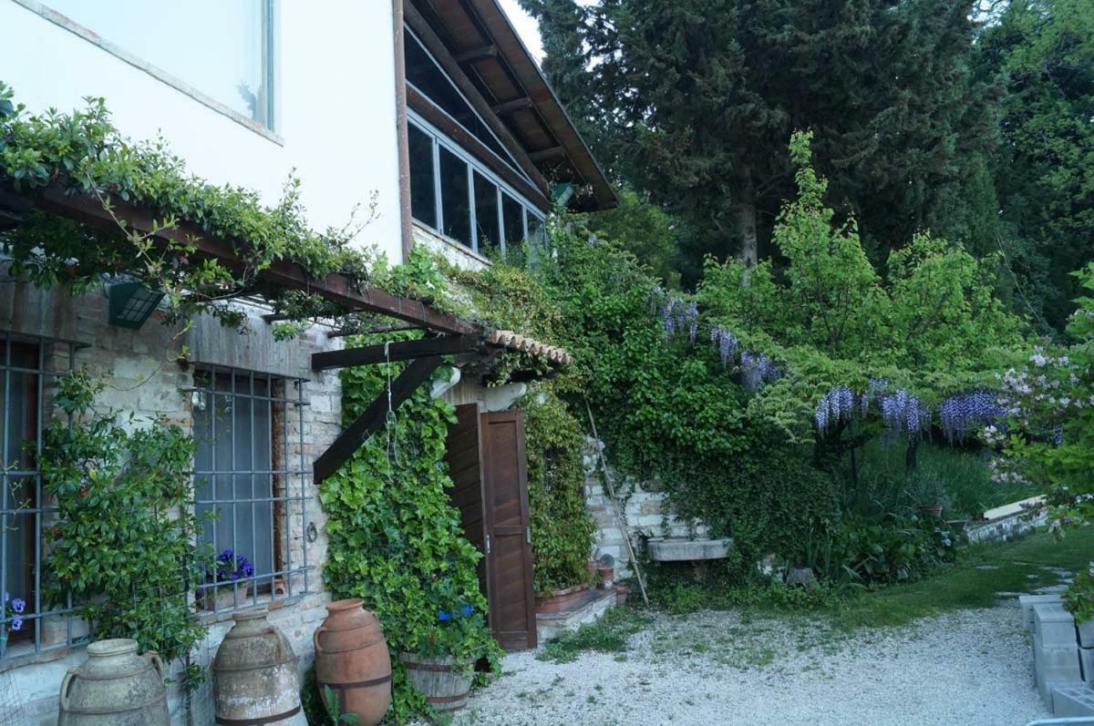 Bed And Breakfast Il Governatore Urbino Luaran gambar