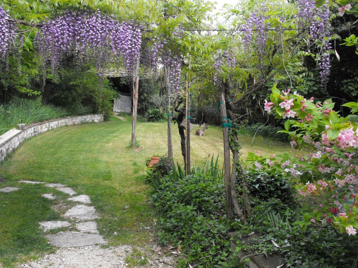 Bed And Breakfast Il Governatore Urbino Luaran gambar