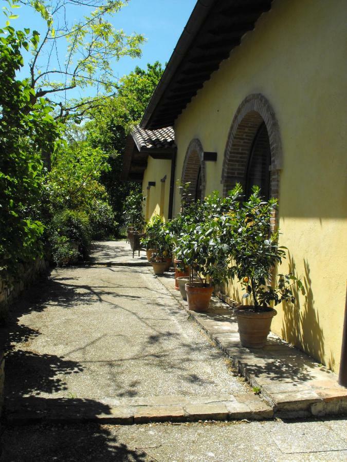 Bed And Breakfast Il Governatore Urbino Luaran gambar