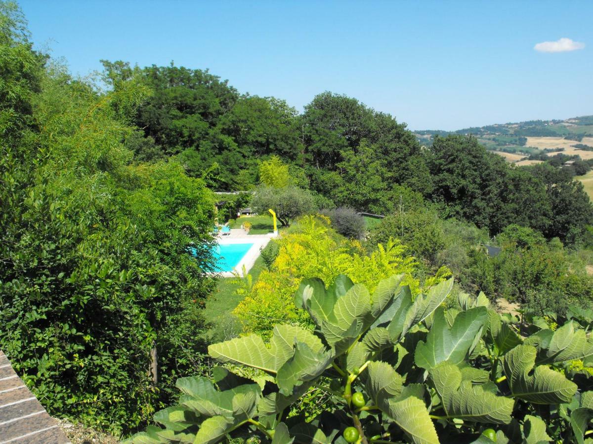 Bed And Breakfast Il Governatore Urbino Luaran gambar